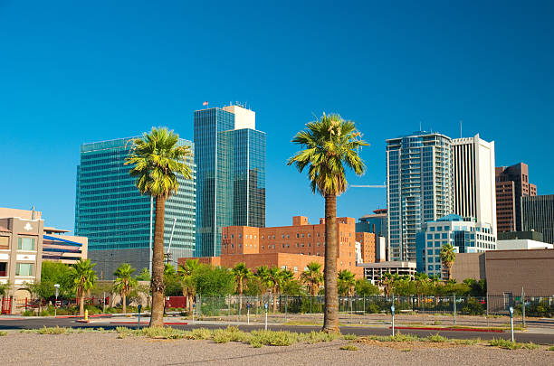 phoenix downtown budynków i drzew palmowych - phoenix arizona skyline desert zdjęcia i obrazy z banku zdjęć