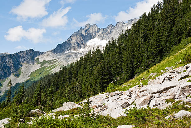 Meadow Below Cascade Pass The North Cascades is a vast wilderness of conifer-clad mountains, glaciers and lakes. It is one of the more remote wilderness areas in the Continental United States. This view of the Cascade River Valley was photographed from the Cascade Pass Trail in North Cascades National Park near Marblemount, Washington State, USA. jeff goulden north cascades national park stock pictures, royalty-free photos & images