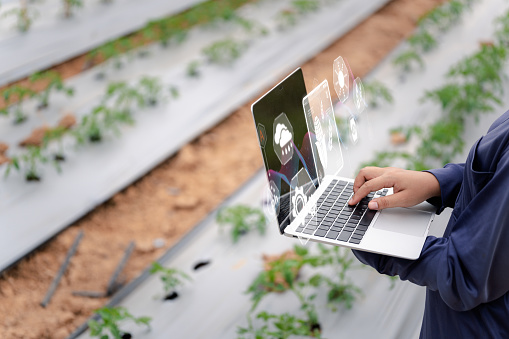 the power of laptops and virtual screens, transforming traditional agriculture into a realm of sustainable practices, precise crop care, and efficient water and nutrient control