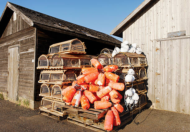 istock Lobster fishing equipment 184992041