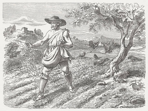 Parable of the Sower (Matthew 13, 3-9), published in 1877 "He told them many things in parables, saying: aListen! A sower went out to sow. And as he sowed, some seeds6 fell along the path, and the birds came and devoured them. Other seeds fell on rocky ground where they did not have much soil. They sprang up quickly because the soil was not deep. But when the sun came up, they were scorched, and because they did not have sufficient root, they withered. Other seeds fell among the thorns, and they grew up and choked them. But other seeds fell on good soil and produced grain, some a hundred times as much, some sixty, and some thirty. The one who has ears had better listen!aA (Matthew, Chapter 13, 3-9). Woodcut after a drawing by Julius Schnorr von Carolsfeld (German painter, 1794 - 1872) from my archive, published in 1877." allegory painting stock illustrations