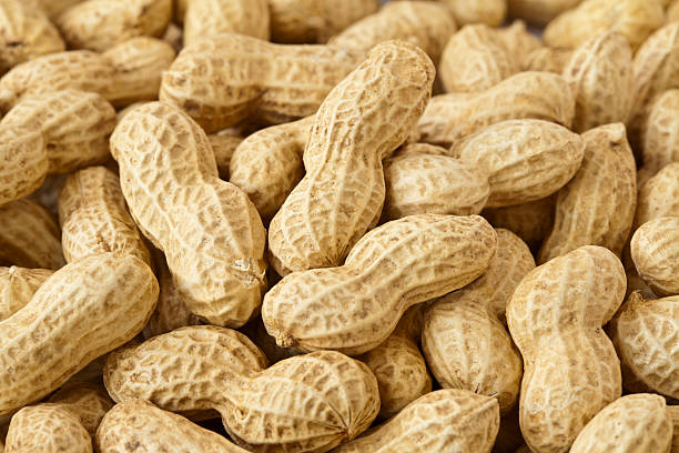 Peanut Close-up of ripe peanut peanut crop stock pictures, royalty-free photos & images