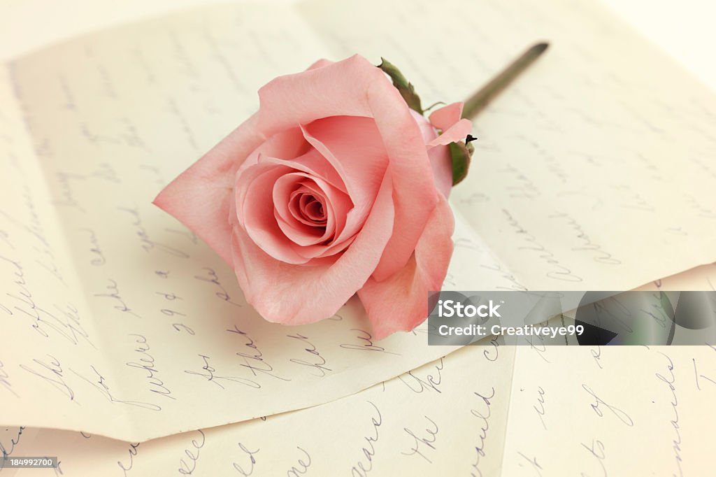 rose rose sur la lettre - Photo de Amour libre de droits