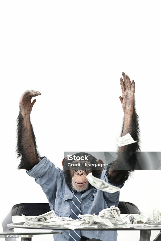 Male Chimpanzee throwing cash Male chimpanzee throwing Cash Ape Stock Photo