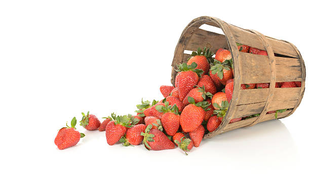 Strawberries In and Around a Basket stock photo