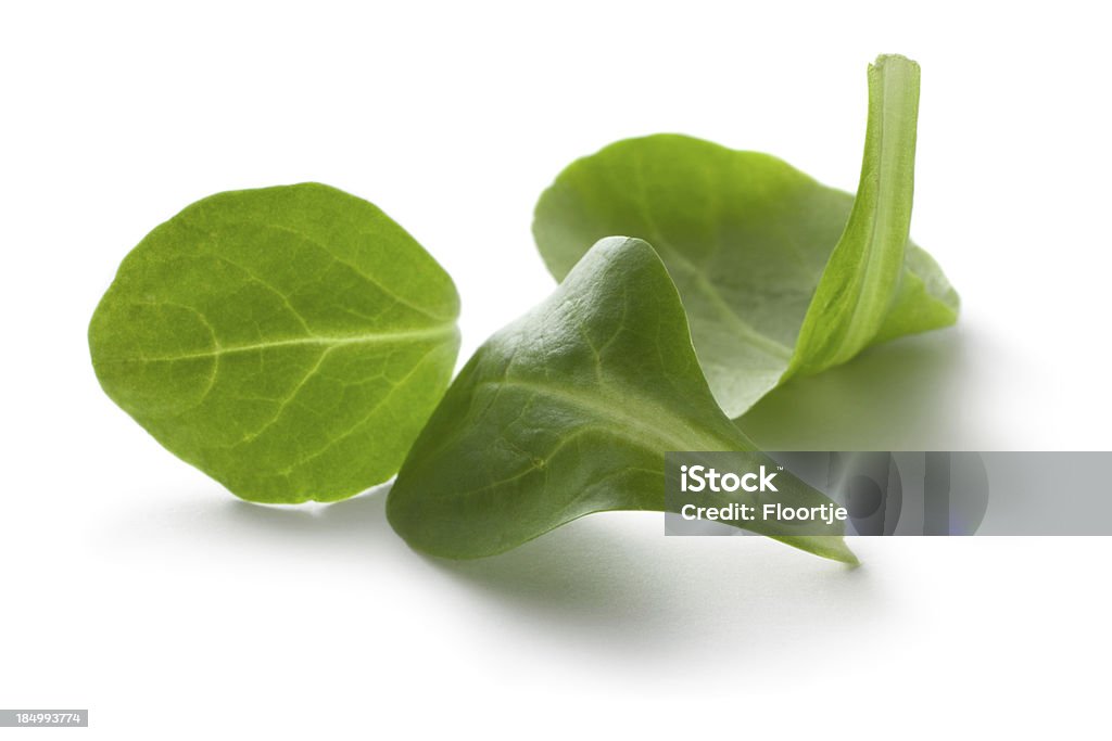 Gemüse: Feldsalat - Lizenzfrei Feldsalat Stock-Foto