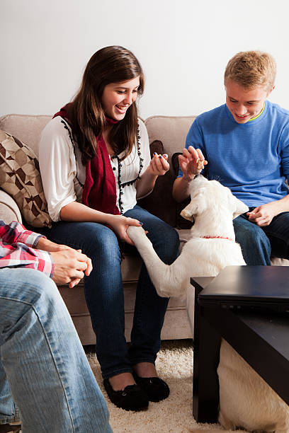 istock Teenagers playing with a dog 184994182
