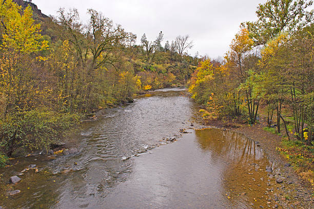 Butte Creek on a Cloudy Day The fall colors are beautiful in Butte County in the country side along side the Butte Creek. chico california photos stock pictures, royalty-free photos & images