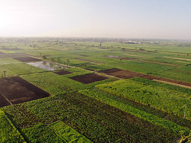 Vista aérea de terras agrícolas - fotografia de stock