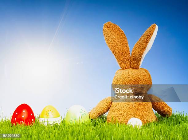Sunny 부활제 토끼 후면에 대한 스톡 사진 및 기타 이미지 - 후면, 부활절 토끼, 토끼