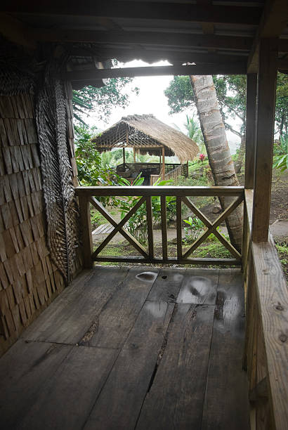 istock tropical countryside cabin through porch 184995149