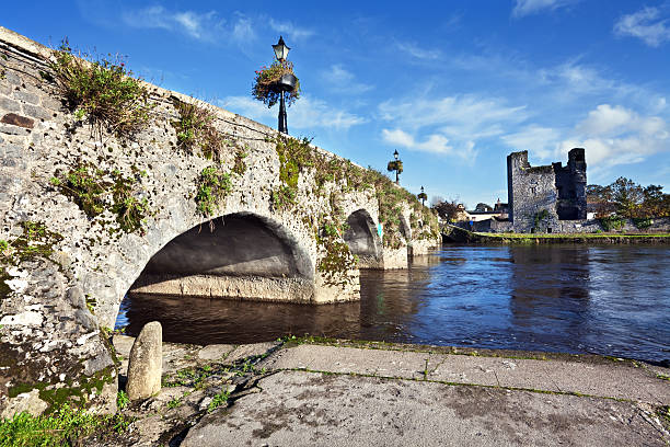 istock Leighlinbridge in County Kilkenny, Ireland 184995749