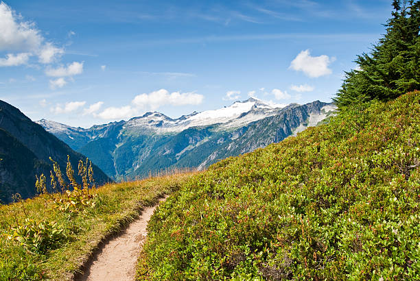 cascade pass trail - north cascades national park awe beauty in nature cloud stock-fotos und bilder