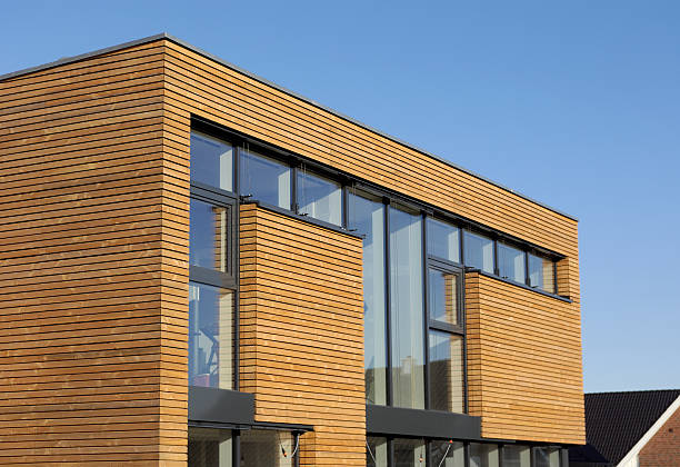 istock Brand new cubistic house covered with timber accents 184996233
