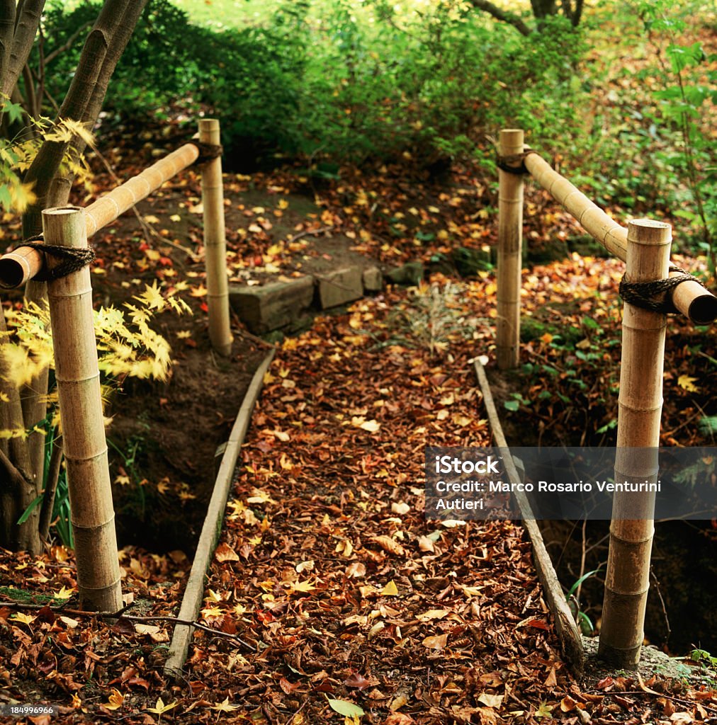 Puente peatonal en el bosque - Foto de stock de Camino libre de derechos