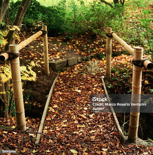 Puente Peatonal En El Bosque Foto de stock y más banco de imágenes de Camino - Camino, Fotografía - Imágenes, Naturaleza