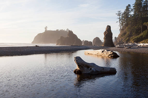Ruby Beach January 1,300+ Ruby Beach Stock Photos, Pictures & Royalty-Free Images - iStock