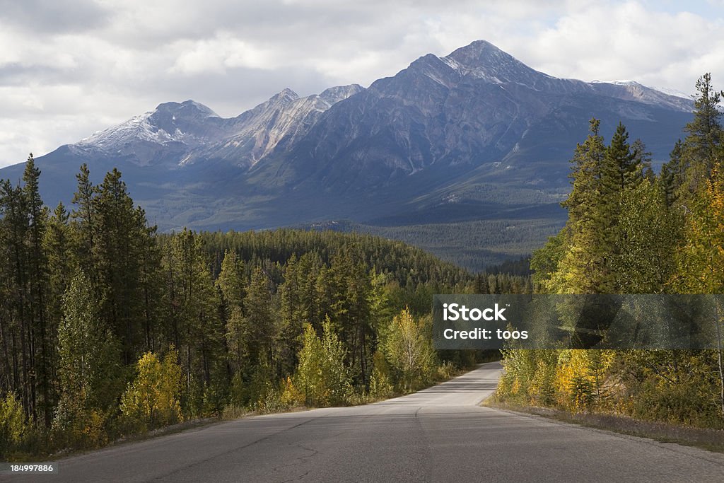 Дорога через природный - Стоковые фото Альберта роялти-фри