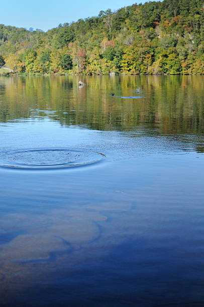 istock Skipping rock across river or lake 184997948