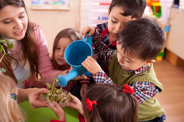 Preschooler and Teacher Little boy is watering plant. plant nursery photos stock pictures, royalty-free photos & images