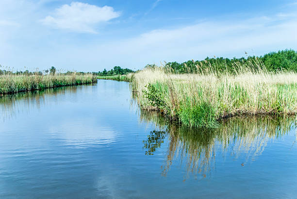 istock Grass, Canal, Swamp, Giethoorn, Netherlands 184998117