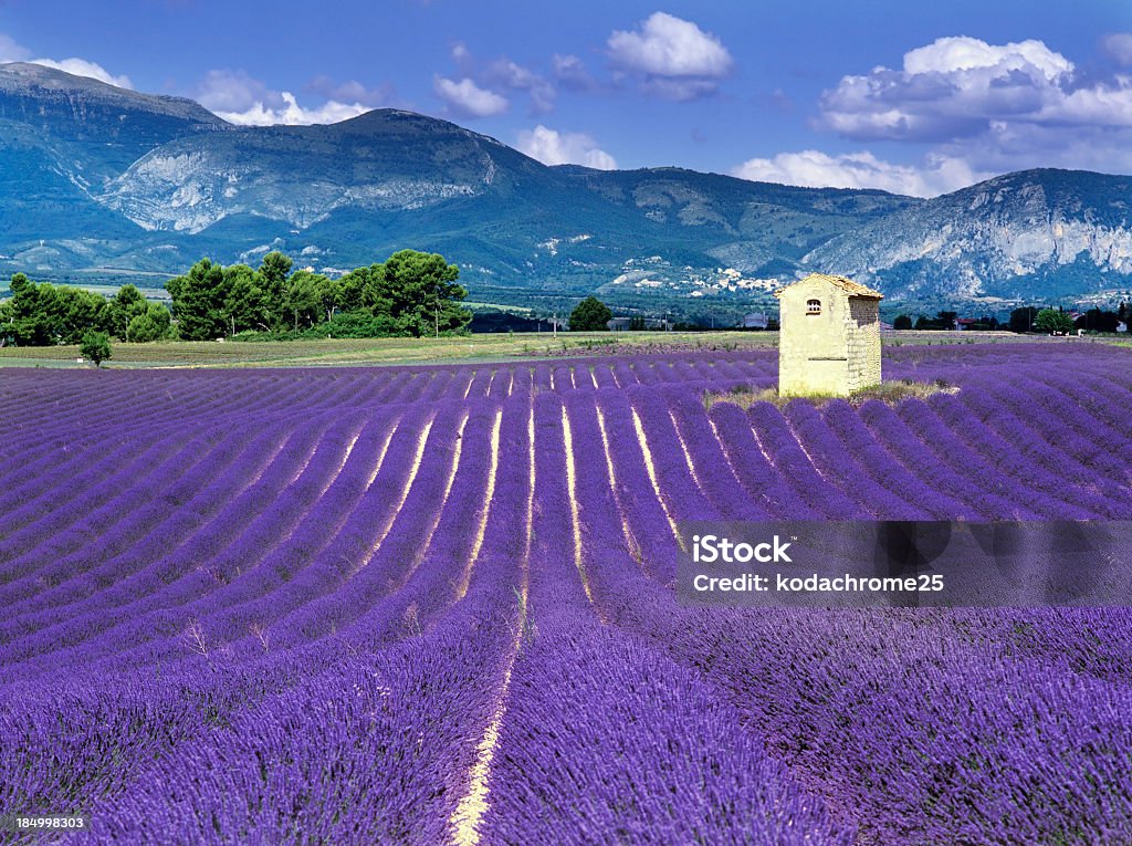 Frankreich - Lizenzfrei Drome Stock-Foto