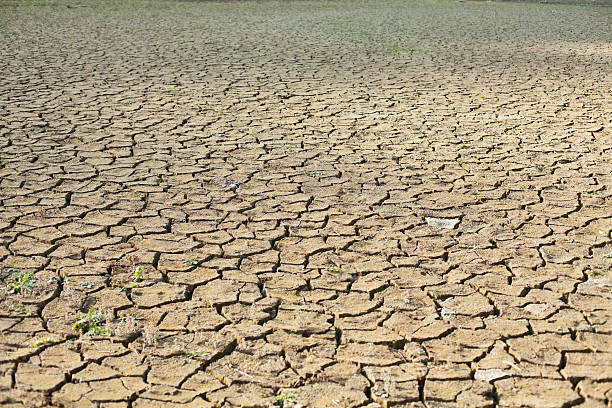 istock Scars on the face of earth 184998610