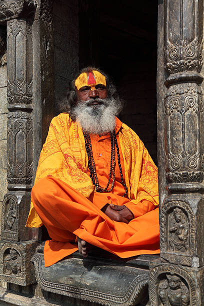 istock Sadhu of the shadows 184998672