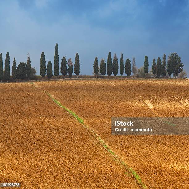 Gepflügtes Felder In Der Toskana Stockfoto und mehr Bilder von Abgeschiedenheit - Abgeschiedenheit, Anhöhe, Bedeckter Himmel