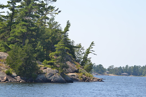 Granite and windswept pines along the shore of an island in Georgian Bay Ontario Canada