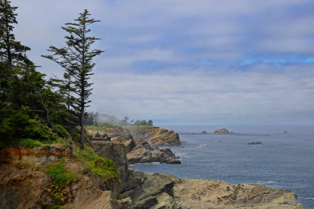 istock Dramatic Oregon coast at Shore Acres State Park 1849989989