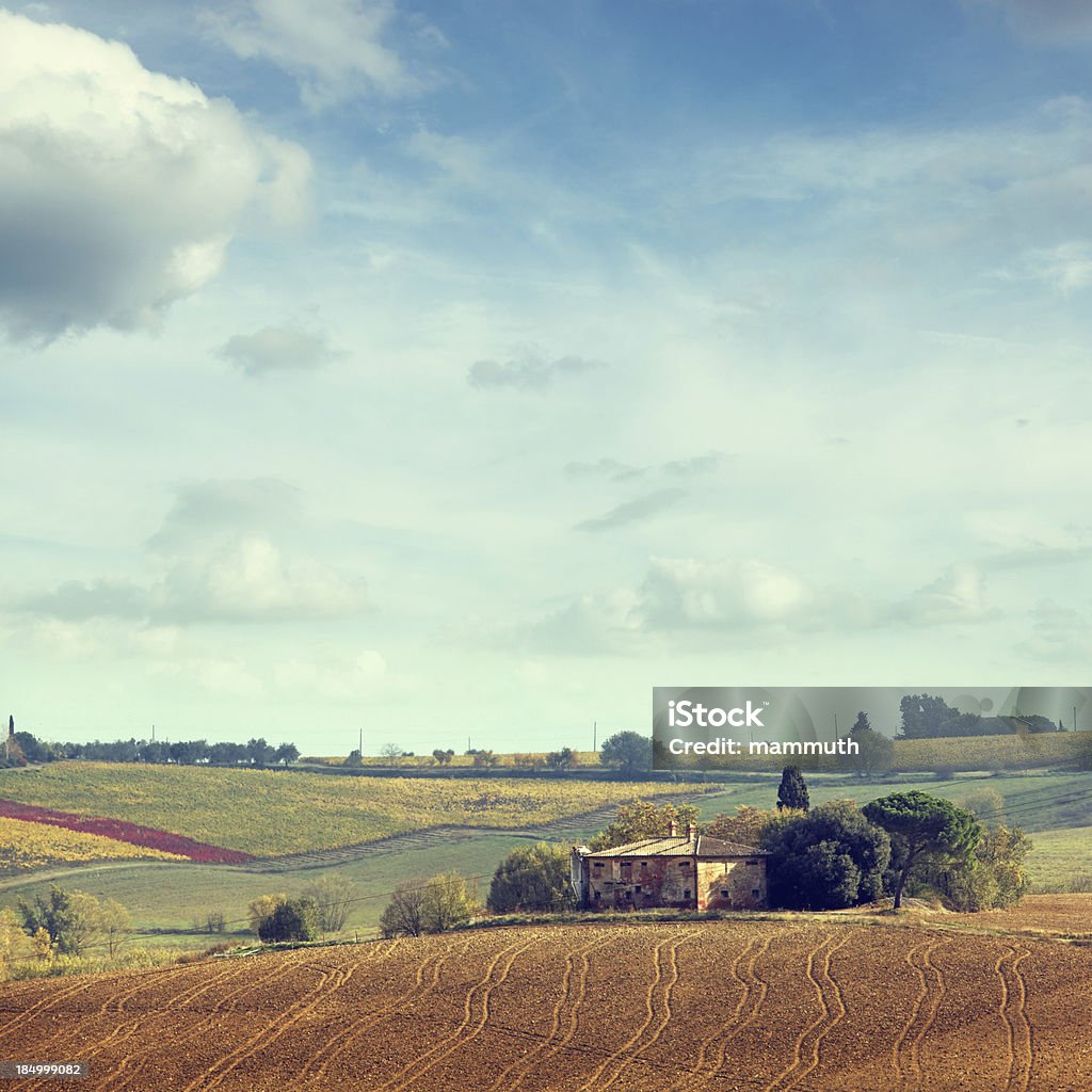 Farm de Toscana - Foto de stock de Agricultura libre de derechos
