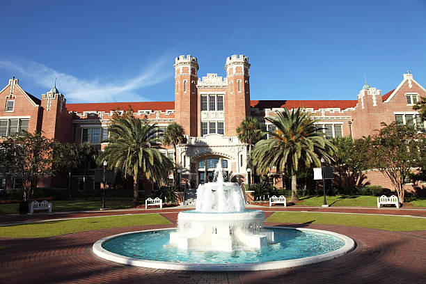 florida state university - florida state foto e immagini stock