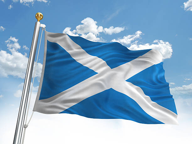 istock Waving Scotland flag 184999205