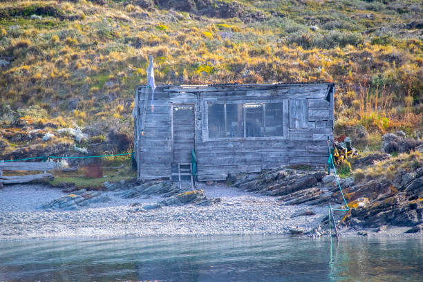 Damaged abandoned wooden construction at border of island, tierra del fuego, argentina