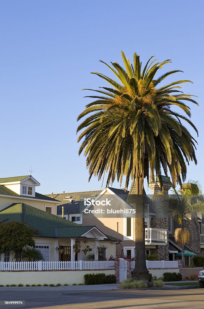 California modern residential complex California modern residential complexMORE LUXURY HOMES: House Stock Photo