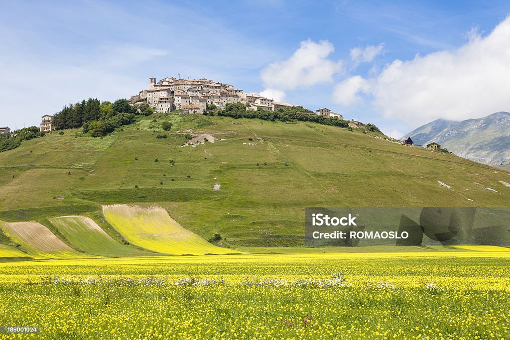 Castelluccio e meadow, Úmbria, Itália - Foto de stock de Ajardinado royalty-free