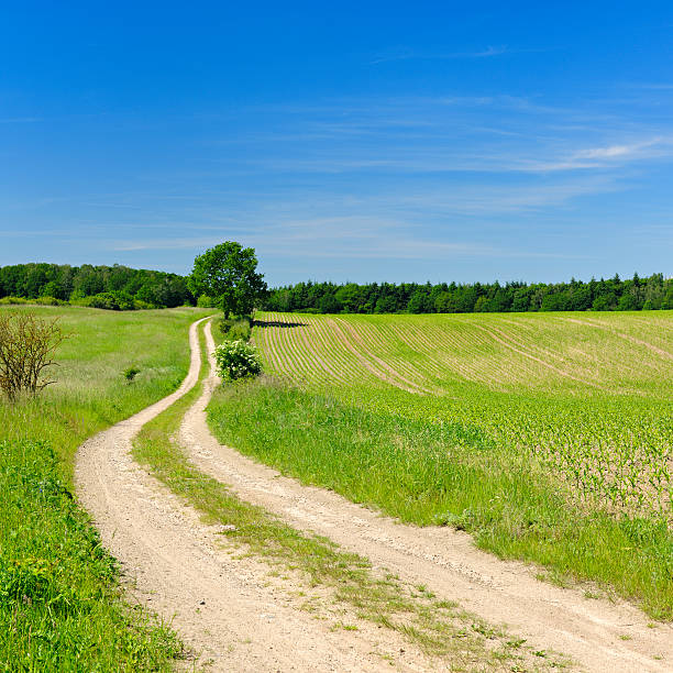 Rural Landscape with Winding Dusty Farm Road 