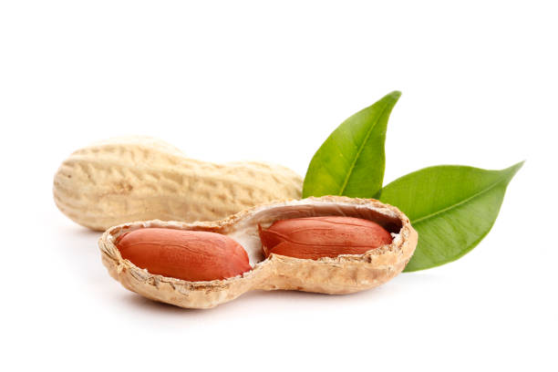 istock Raw peanuts on white background with green leaf. Healthy snack ona white background.Top view. close-up. 1850014009