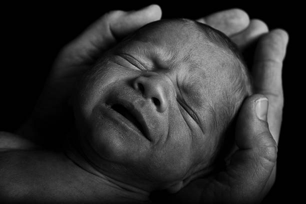 istock Caucasian Baby Boy in Hands 185001896