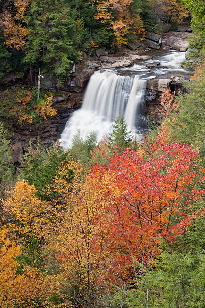 istock Blackwater Falls in Autumn 185001924
