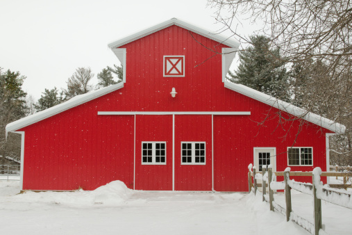 Winter snow flurries around a red barn in Central Minnesota