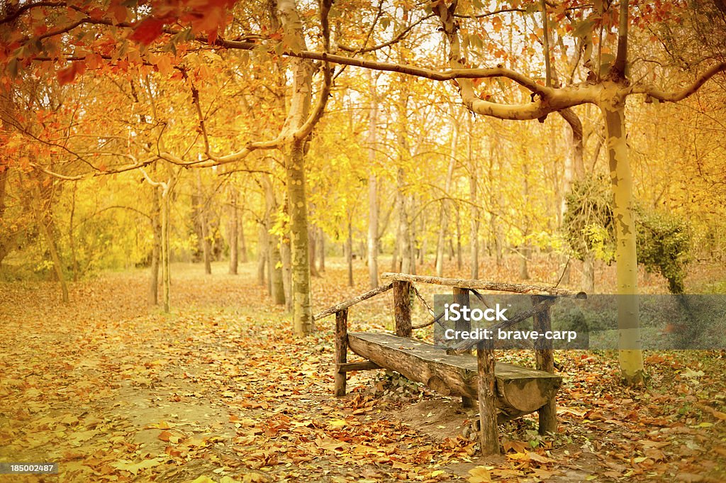 ベンチで、美しい秋の公園 - アラゴンのロイヤリティフリーストックフォト