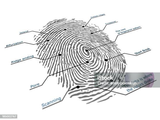 指紋 - 指紋のストックフォトや画像を多数ご用意 - 指紋, 注釈, デジタル生成