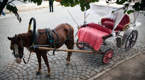 Horse and Carriage used as a taxi service in Turkey.