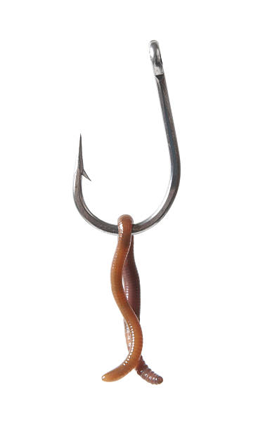 istock Earthworm and Fishing Hook 185003305