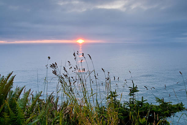 Sunset Over the Pacific Ocean The landscapes and seascapes of the Pacific Coast are a constant source of inspiration for photographers. This picture of a sunset over the Pacific Ocean was photographed from Carl G. Washburne Memorial State Park near Florence, Oregon, USA. jeff goulden oregon coast stock pictures, royalty-free photos & images