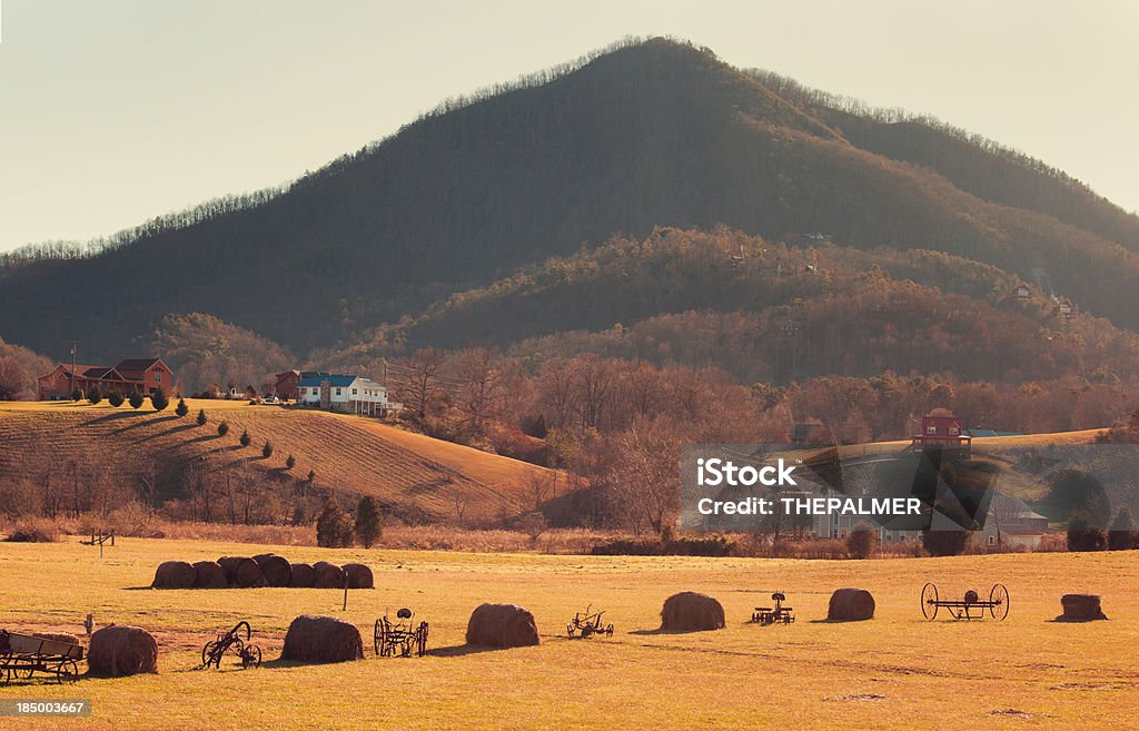 Trägt valley, Tennessee - Lizenzfrei Agrarbetrieb Stock-Foto