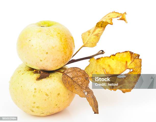 Duas Maçãs Amarelo Com Folhas Secas Brown - Fotografias de stock e mais imagens de Alimentação Saudável - Alimentação Saudável, Amarelo, Claro