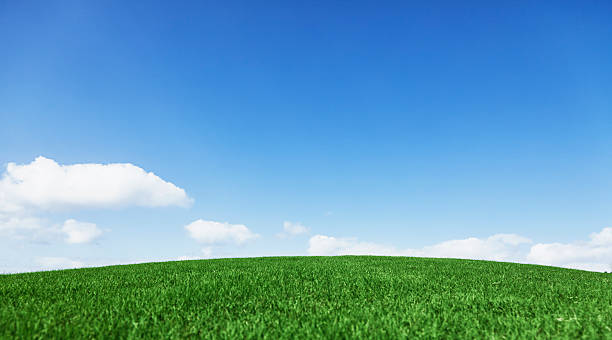 istock Grassy hill beautiful blue sky horizon 185004679